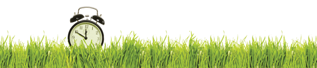 What can your software do in a day?> </div> <p class=