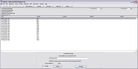 Assemble in Groups View in SeqMan Pro