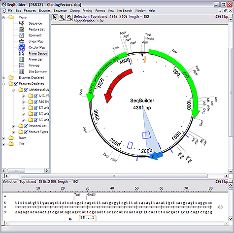 Development of a Virtual Clone