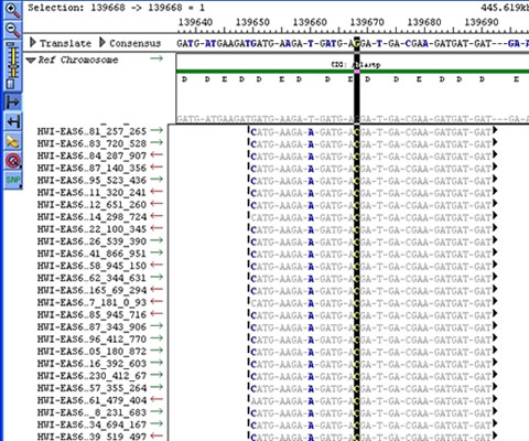 Sequence Assembly View