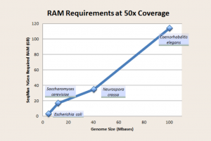 How Much RAM Do I Need for My De Novo Genome Assembly?