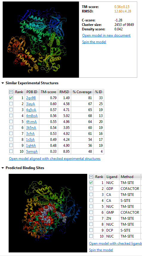 Herpes5Polymerase