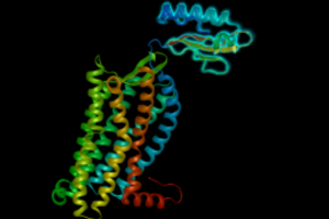 From Protein Sequence to 3D Structure