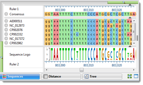 phylogenetic tree