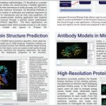 High-Resolution in silico Protein Structure Prediction and Docking