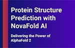 Protein Structure Prediction with NovaFold AI