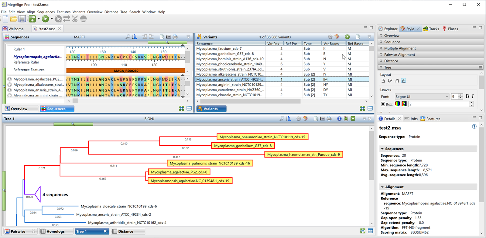 Gene homology in MegAlign Pro