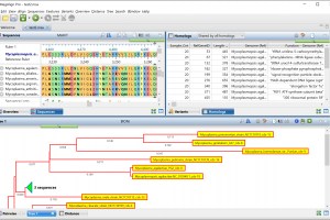 What Can We Learn from Gene Homology Analysis?