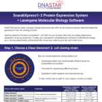 Lasergene Molecular Biology + Scarab Genomics (EN)