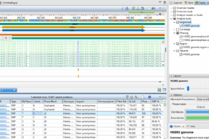 From Calling to Comparison Webinar