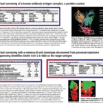 Virtual screening software for modeling personal repertoire antibody structures and identifying their target antigens